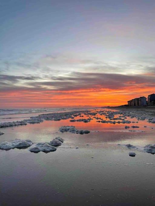 Face A La Mer, Appartement Rdc Bray Dunes Екстериор снимка