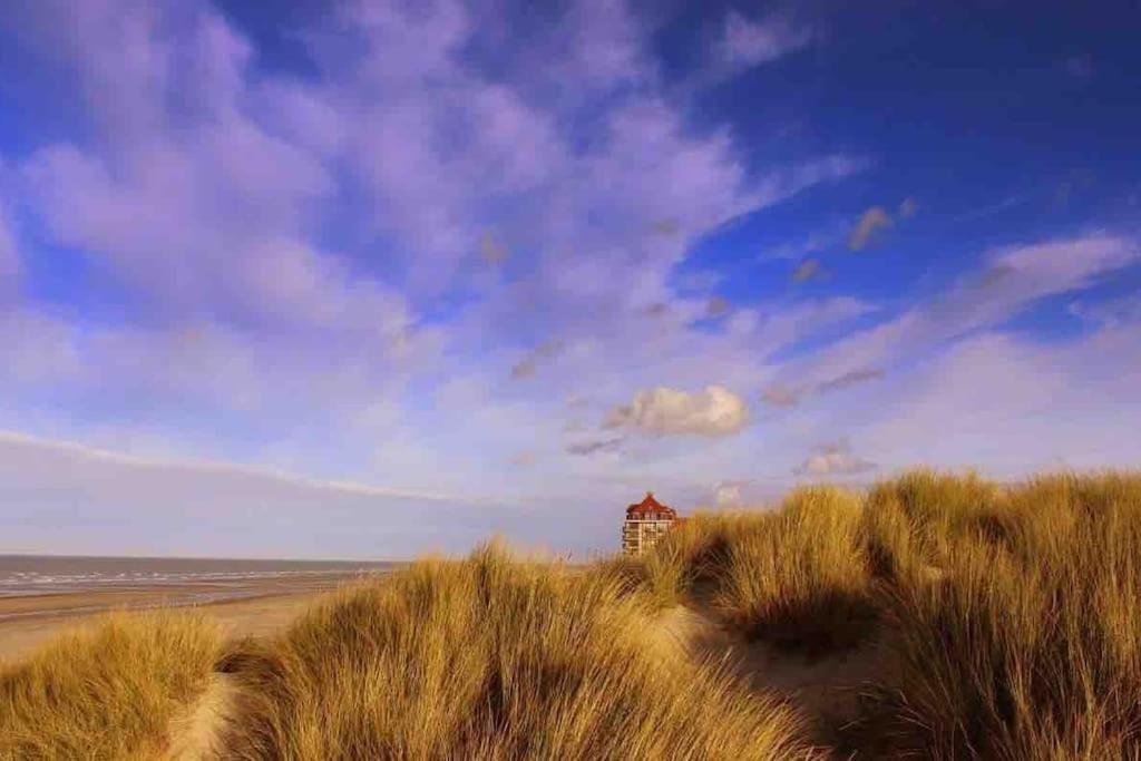 Face A La Mer, Appartement Rdc Bray Dunes Екстериор снимка